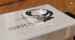 Elissa Ring