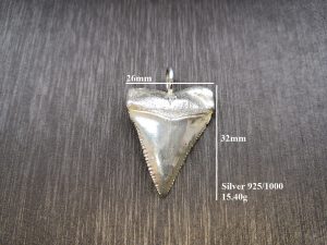 Great White Shark Tooth